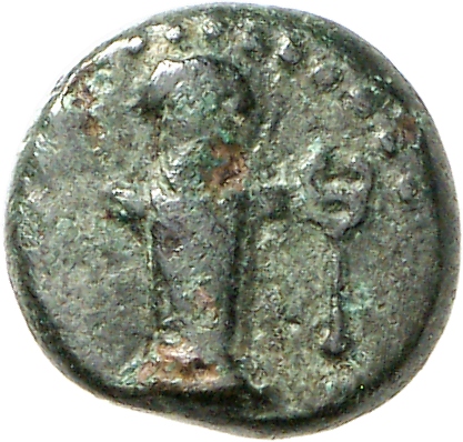 аверс CN Type cn.sestus.1_ed.24