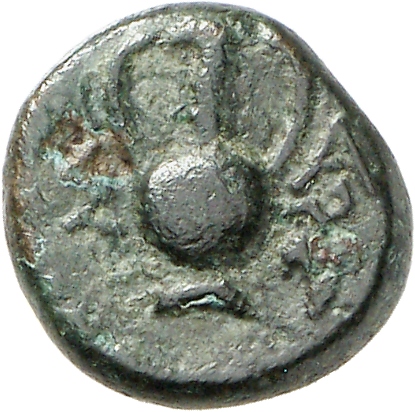 реверс CN Type cn.sestus.1_ed.24