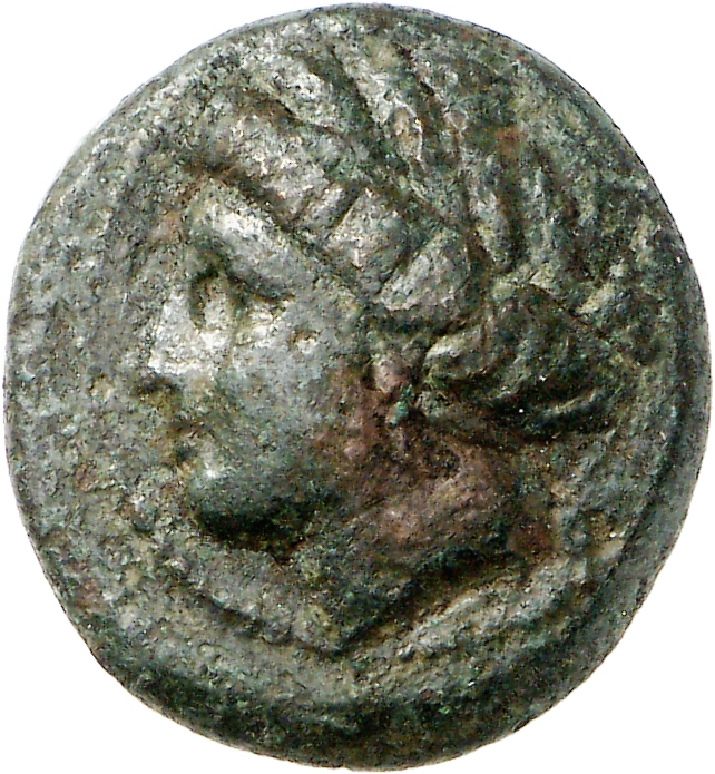 аверс CN Type cn.sestus.1_ed.9
