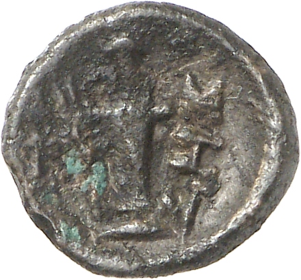 реверс CN Type cn.sestus.1_ed.4