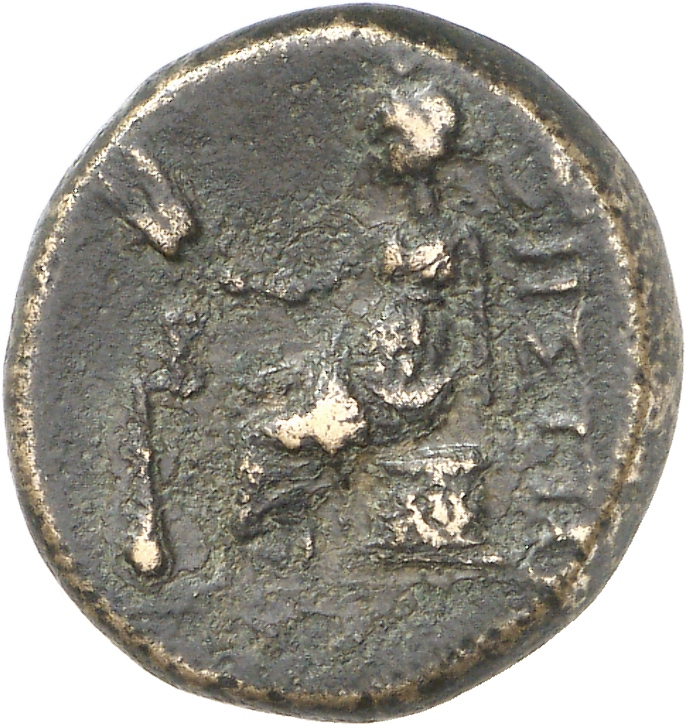 реверс CN Type cn.sestus.1_ed.31