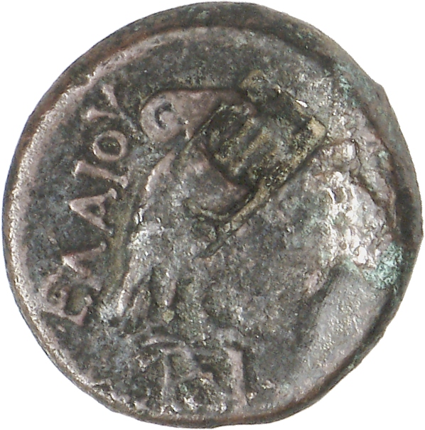 реверс CN Type cn.elaeus.1_ed.10