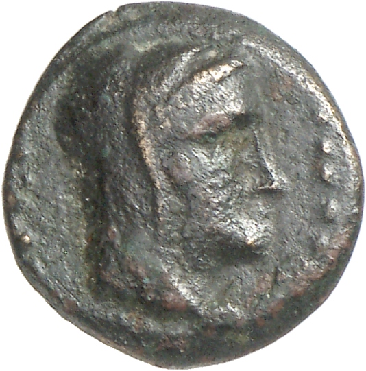 аверс CN Type cn.elaeus.1_ed.16