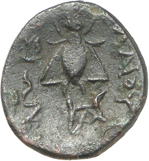 реверс CN Type cn.elaeus.1_ed.16