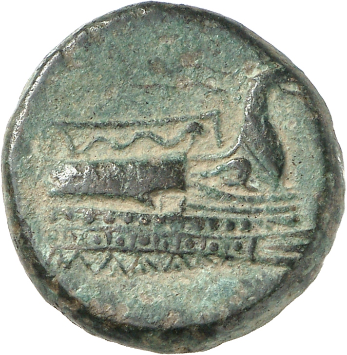 аверс CN Type cn.elaeus.1_ed.2