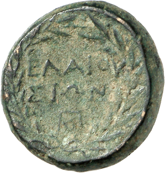 реверс CN Type cn.elaeus.1_ed.2