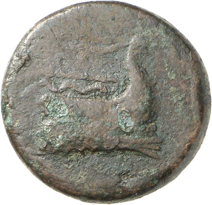 CN Type cn.elaeus.1_ed.6, аверс, cn-coins