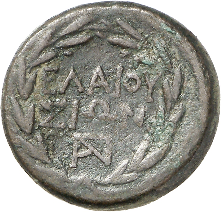 CN Type cn.elaeus.1_ed.6, реверс, cn-coins