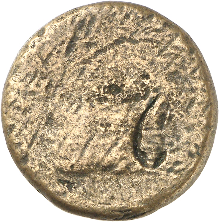 аверс CN Type cn.elaeus.1_ed.3
