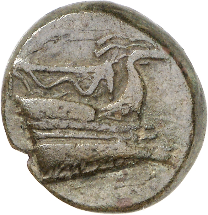 CN Type cn.elaeus.1_ed.5, аверс, cn-coins
