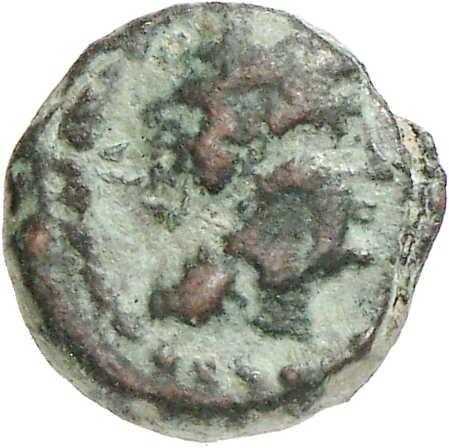 CN Type cn.elaeus.1_ed.17, аверс, cn-coins