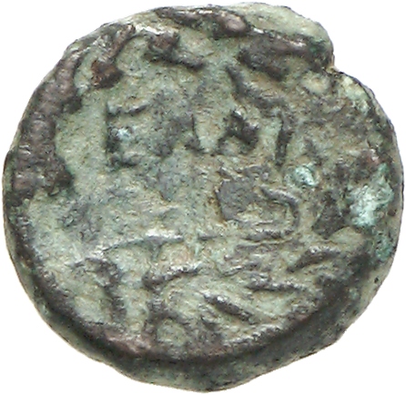 CN Type cn.elaeus.1_ed.17, реверс, cn-coins