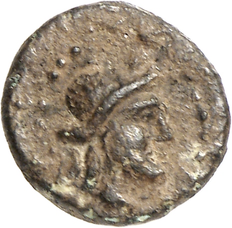 CN Type cn.elaeus.1_ed.17, аверс, cn-coins