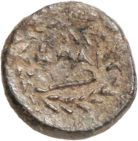 CN Type cn.elaeus.1_ed.17, реверс, cn-coins