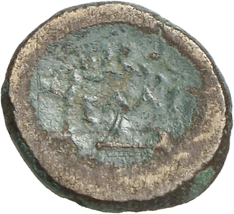 реверс CN Type cn.elaeus.1_ed.17