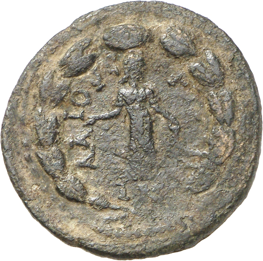 реверс CN Type cn.elaeus.1_ed.26