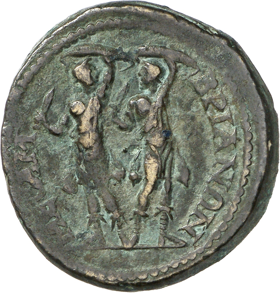 реверс CN Type cn.mesembria.1_ed.244