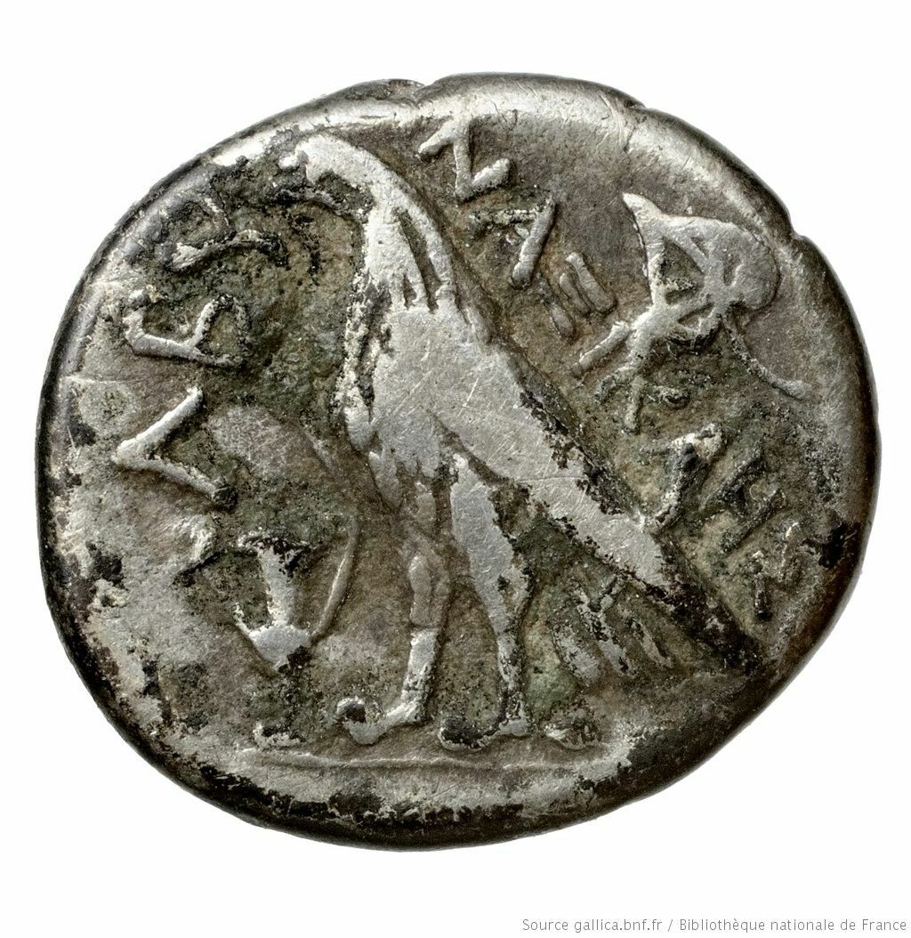 CN Type 2546, реверс, cn-coins