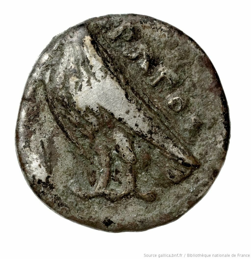 CN Type 2565, реверс, cn-coins