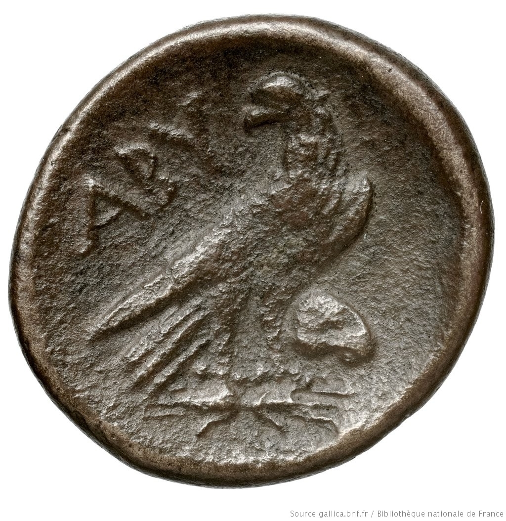 CN Type 2993, реверс, cn-coins