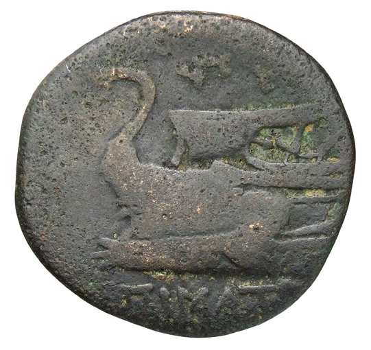 реверс CN Type cn.byzantium.1_ed.96