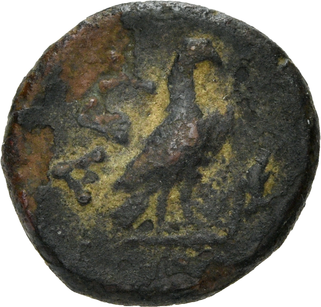 CN Type 3039, реверс, Corpus Nummorum
