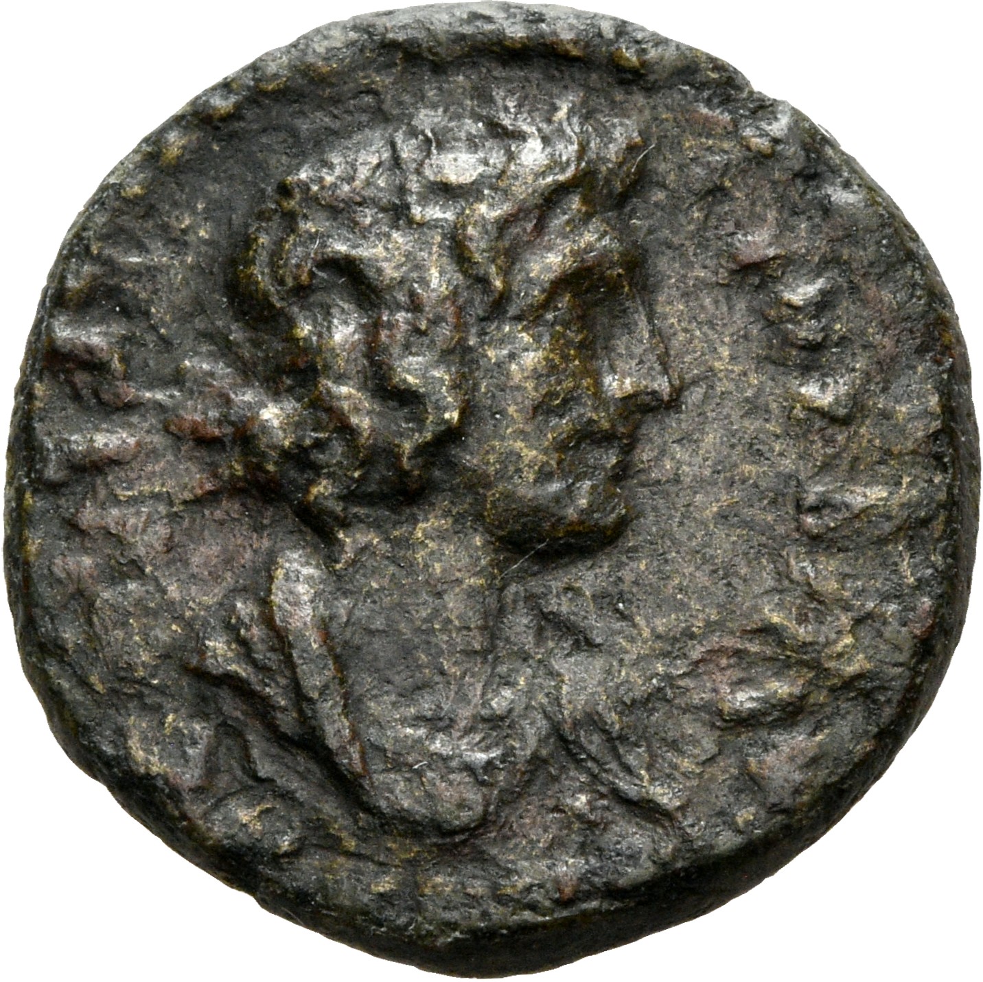 coin rev