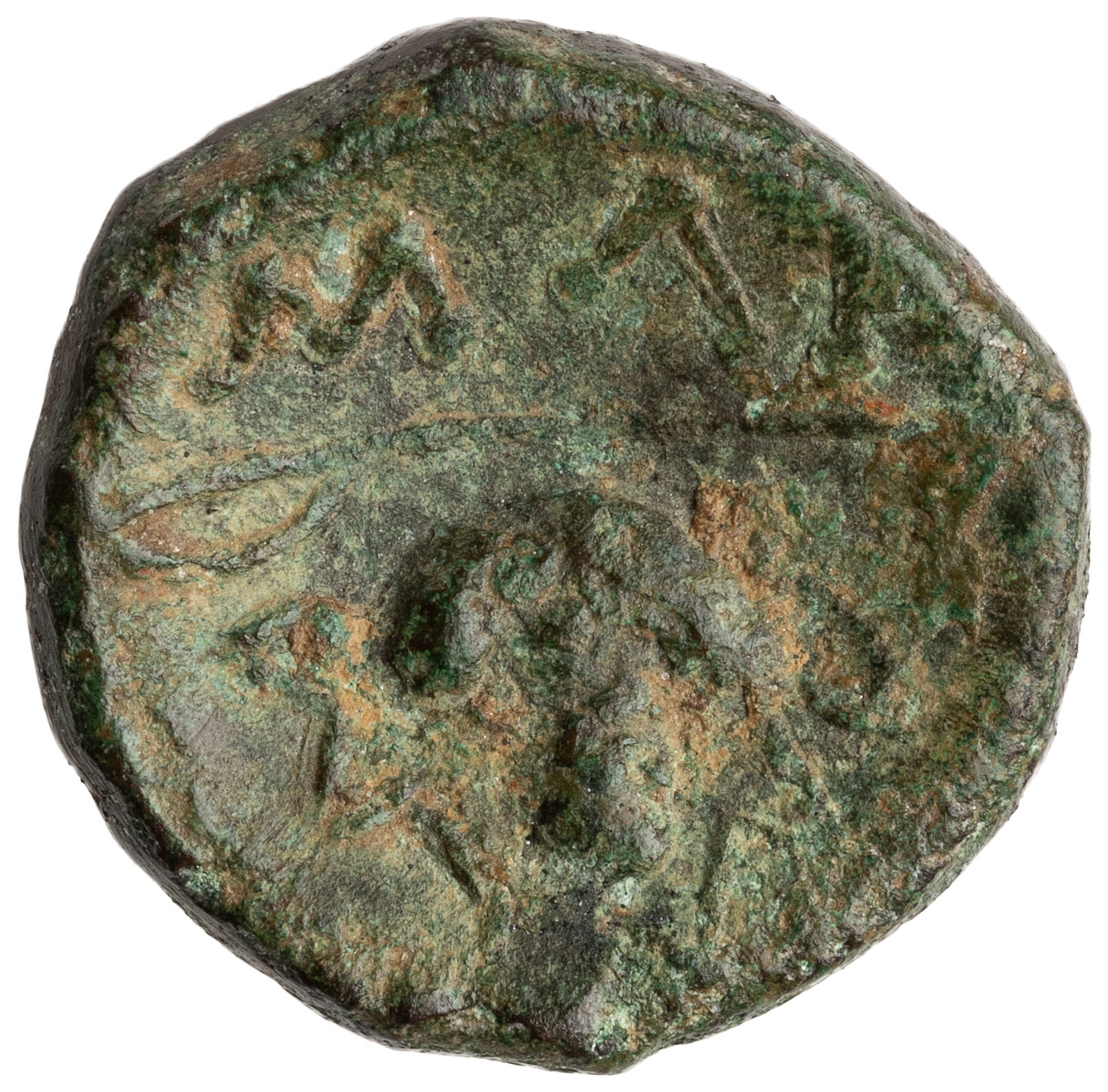 реверс CN Type cn.maroneia.1_ed.258
