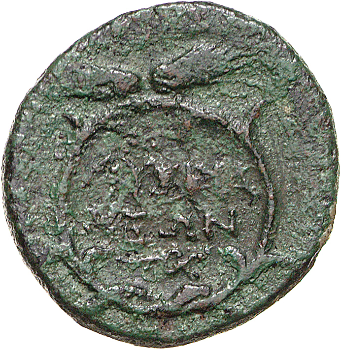 CN Type 12105, реверс, cn-coins