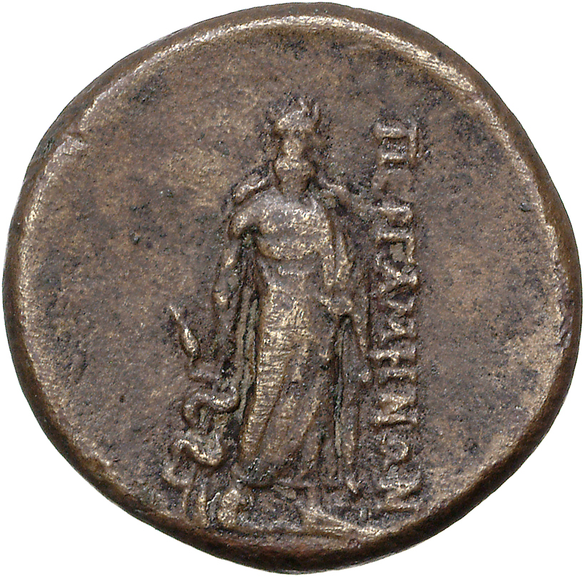 reverse CN Type 11769