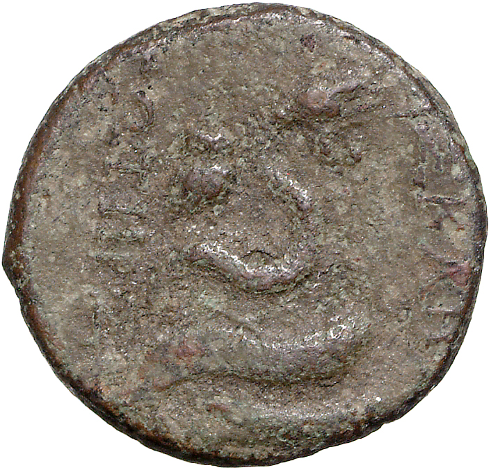 CN Type 11827, реверс, cn-coins