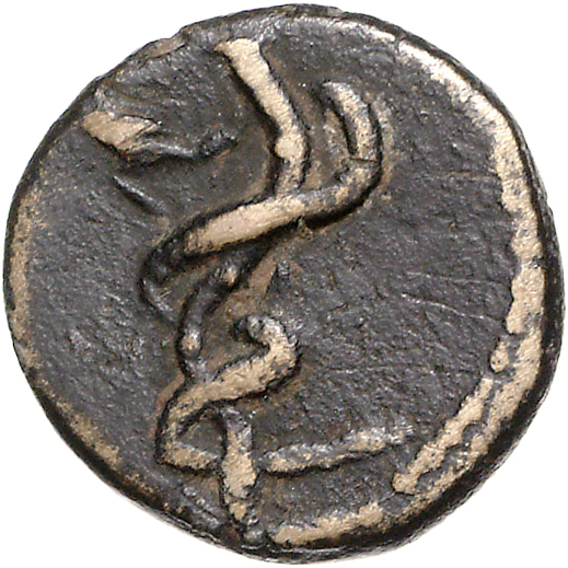 CN Type 11071, реверс, cn-coins
