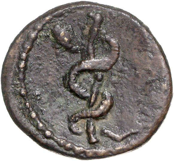 CN Type 11071, реверс, cn-coins