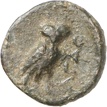 CN Type cn.agathopolis.1_ed.6, реверс, cn-coins