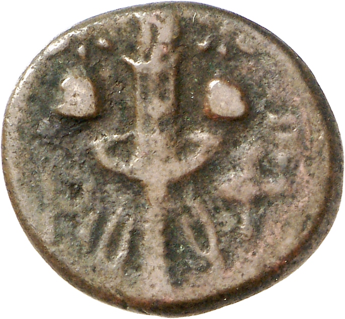 реверс CN Type cn.hephaestia.1_ed.28