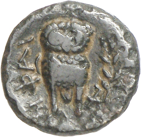 реверс CN Type cn.hephaestia.1_ed.13