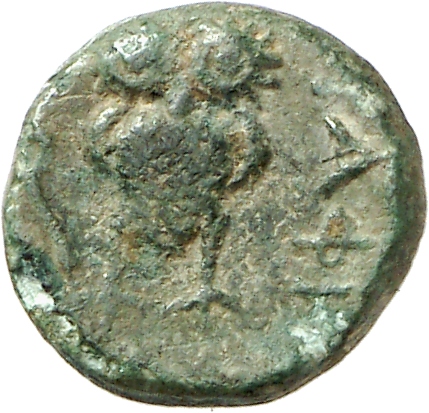 реверс CN Type cn.hephaestia.1_ed.10