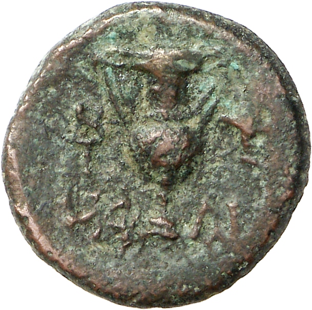 реверс CN Type cn.hephaestia.1_ed.30
