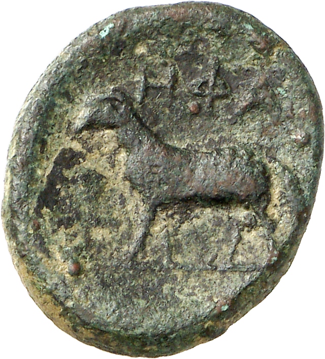 реверс CN Type cn.hephaestia.1_ed.35