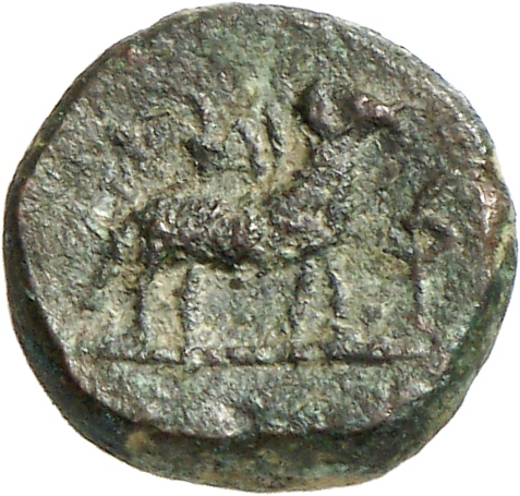 CN Type cn.hephaestia.1_ed.19, реверс, cn-coins
