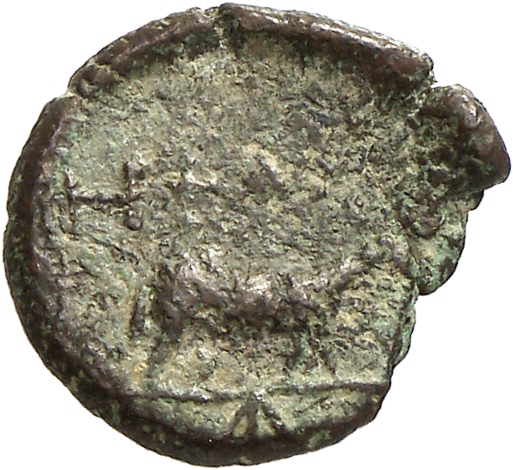 реверс CN Type cn.hephaestia.1_ed.16