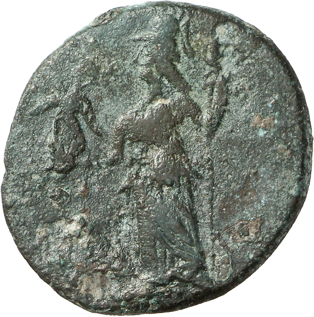 реверс CN Type cn.hephaestia.1_ed.41