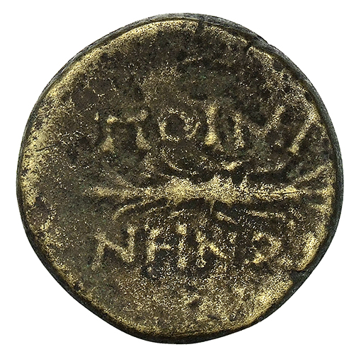 реверс CN Type 12787
