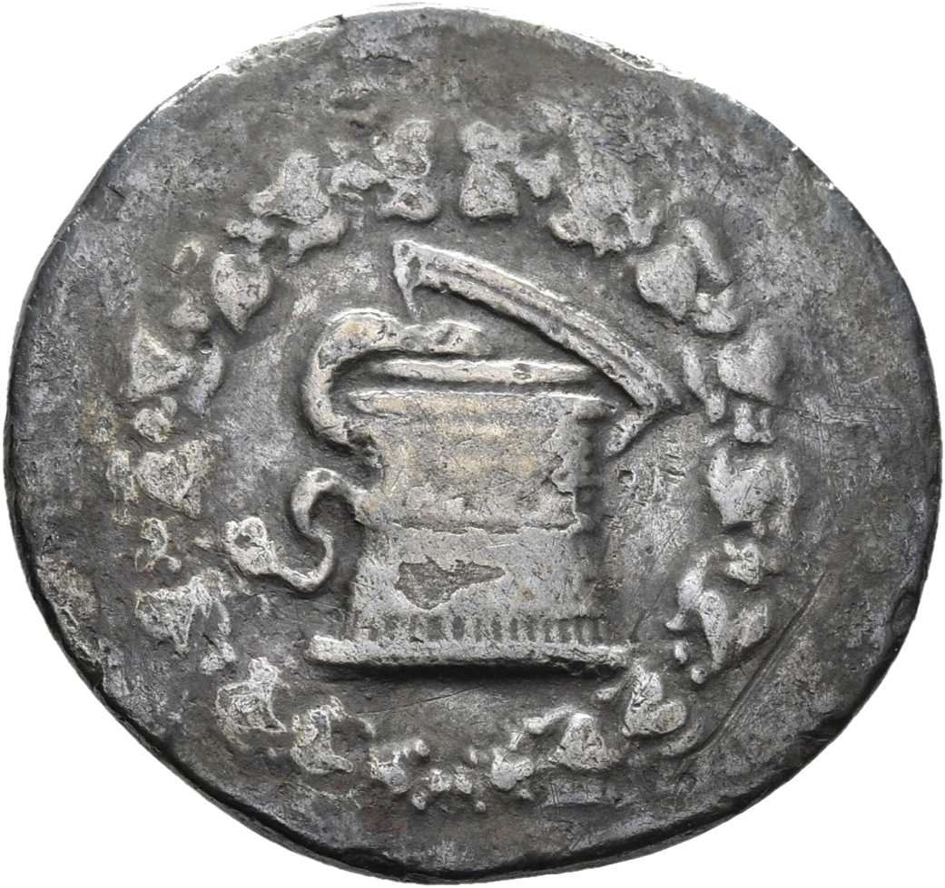 obverse CN Type 11455