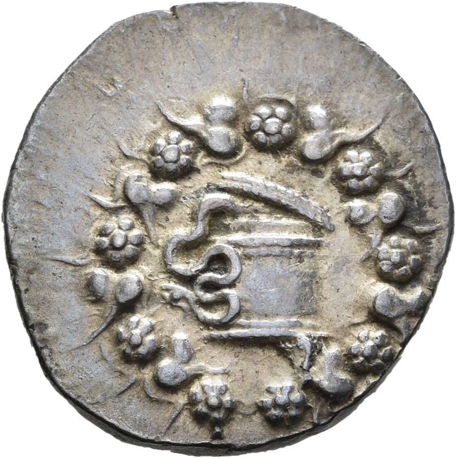 obverse CN Type 11341