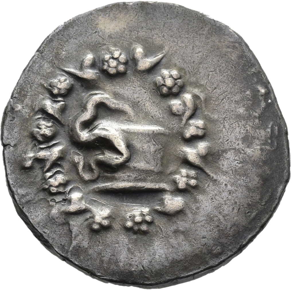 obverse CN Type 11342