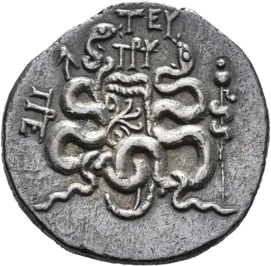 reverse CN Type 11384