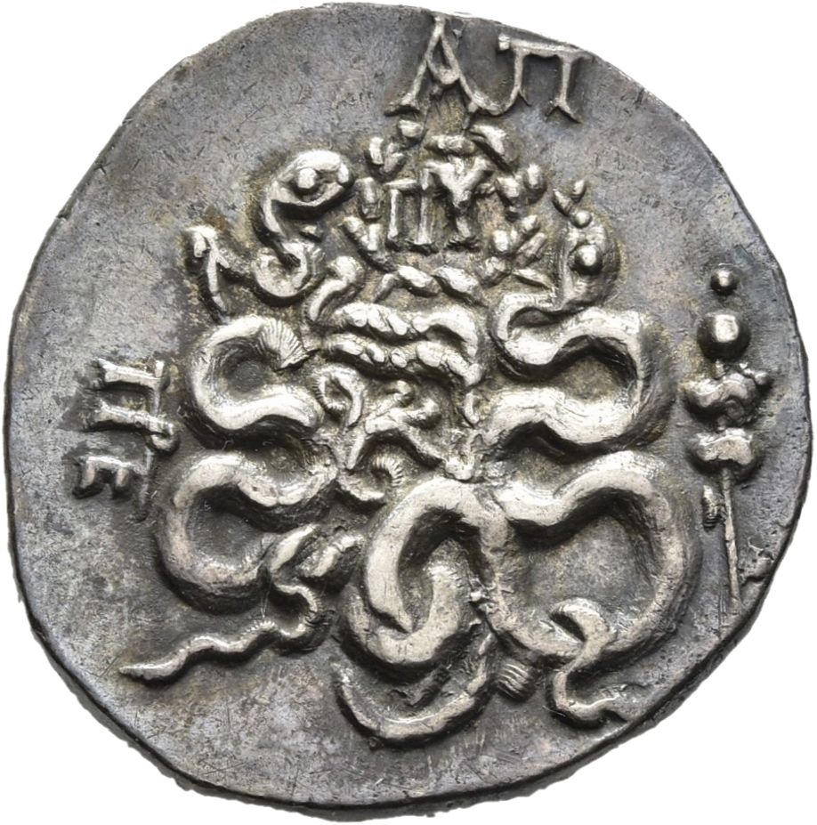 reverse CN Type 11411