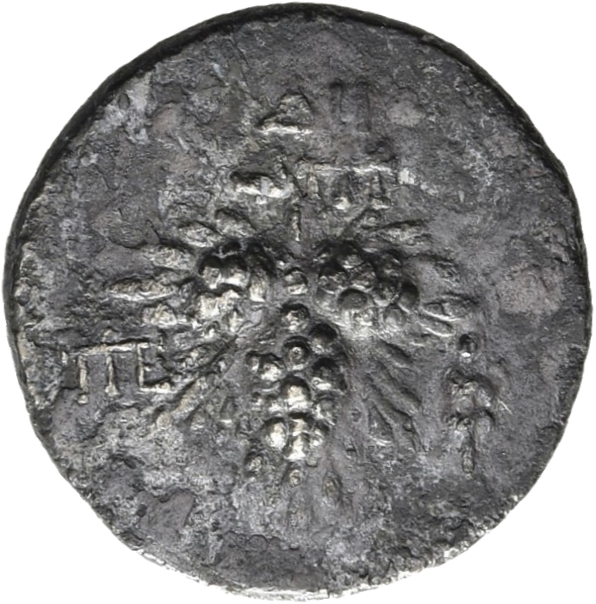 reverse CN Type 11351