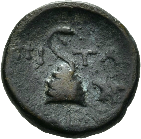реверс CN Type 12774